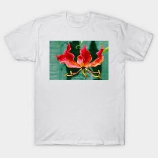 Flame Blossom T-Shirt